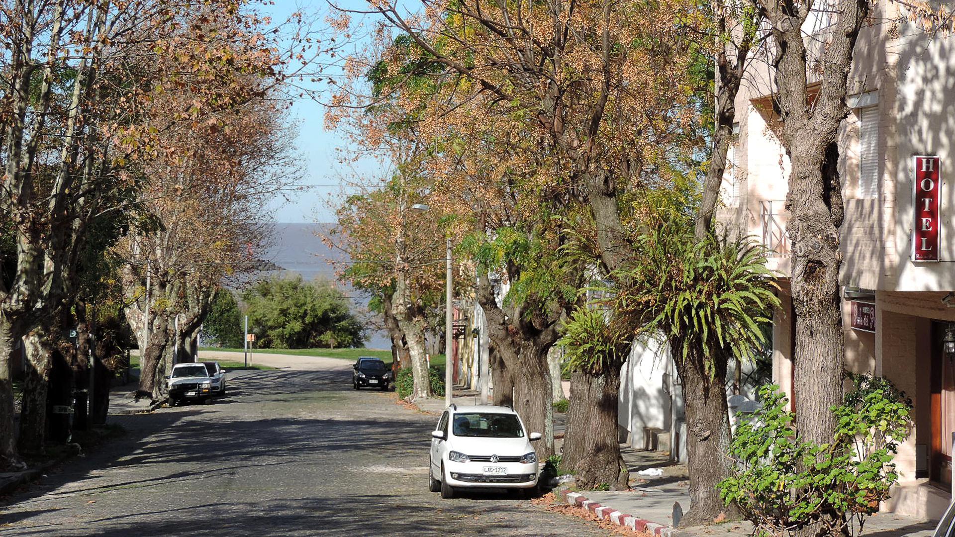 Hotel Perla Del Plata Colonia del Sacramento Dış mekan fotoğraf